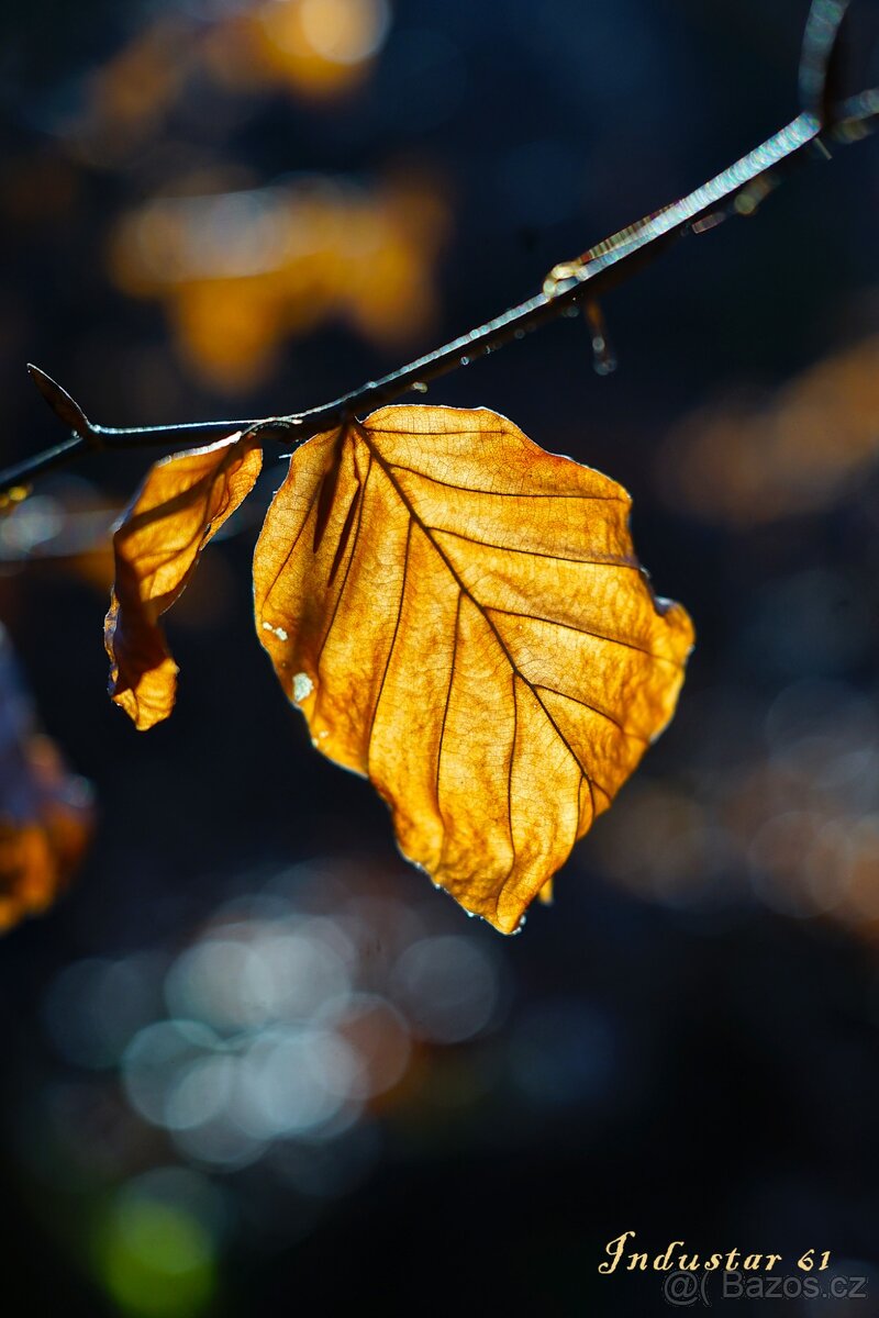 Dálkoměrný FED 2 + Industar I-61 (2.8/52 mm) - r. 1955 - 13