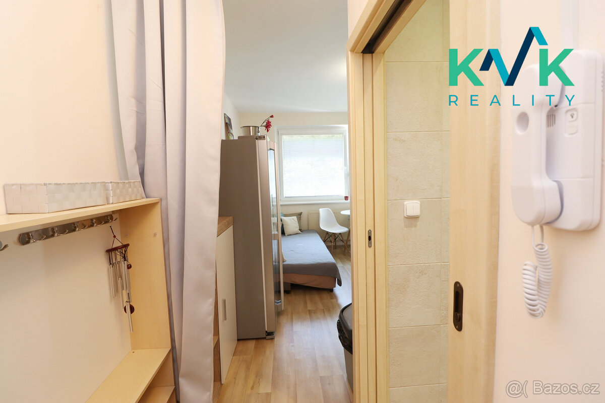 Prodej světlého bytu 1+1 po rekonstrukci – kompletně vybaven - 13
