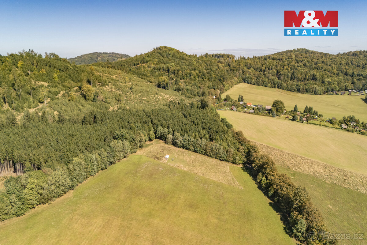Prodej louky, 5287 m², Kdyně - 13