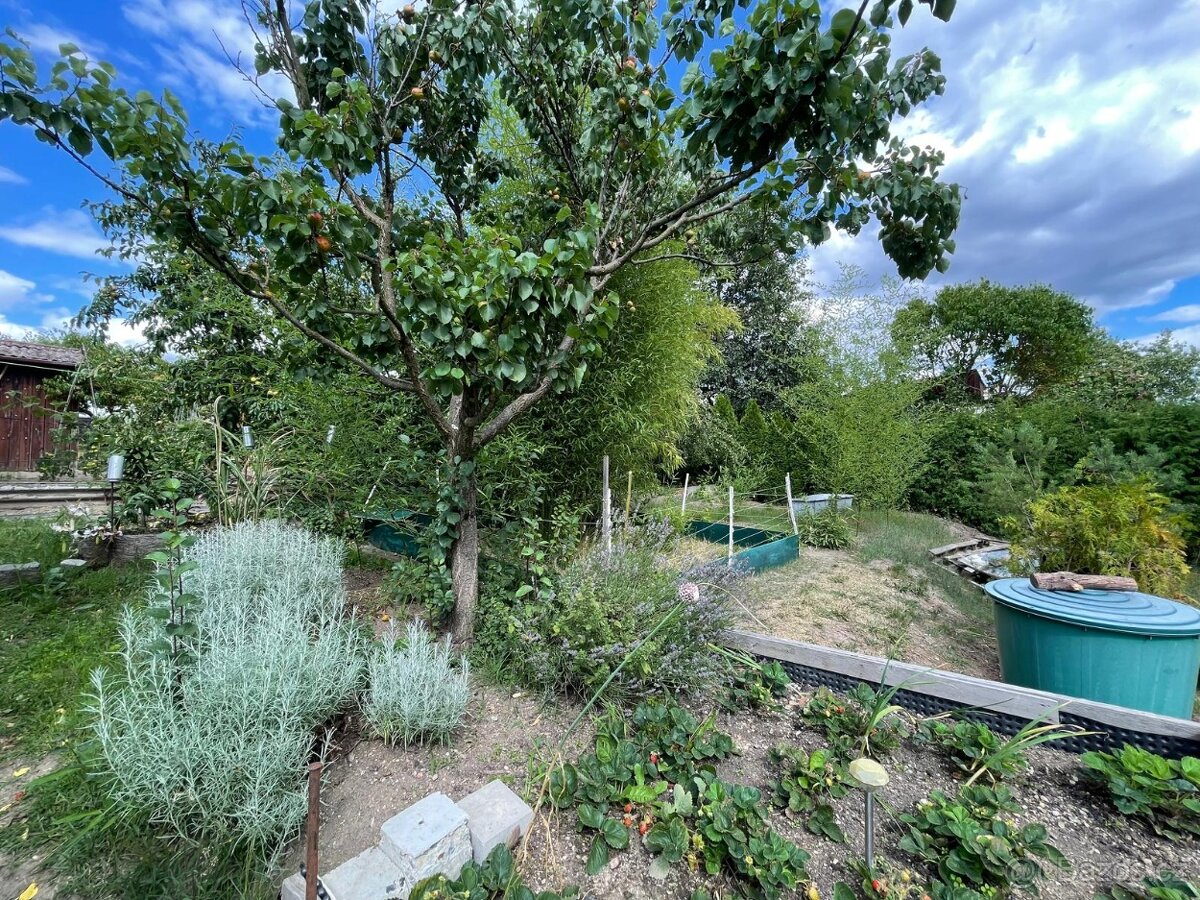 Zahrada ke stavbě chaty k rekreaci,700m2,Plzeň,Pod Švabinami - 13