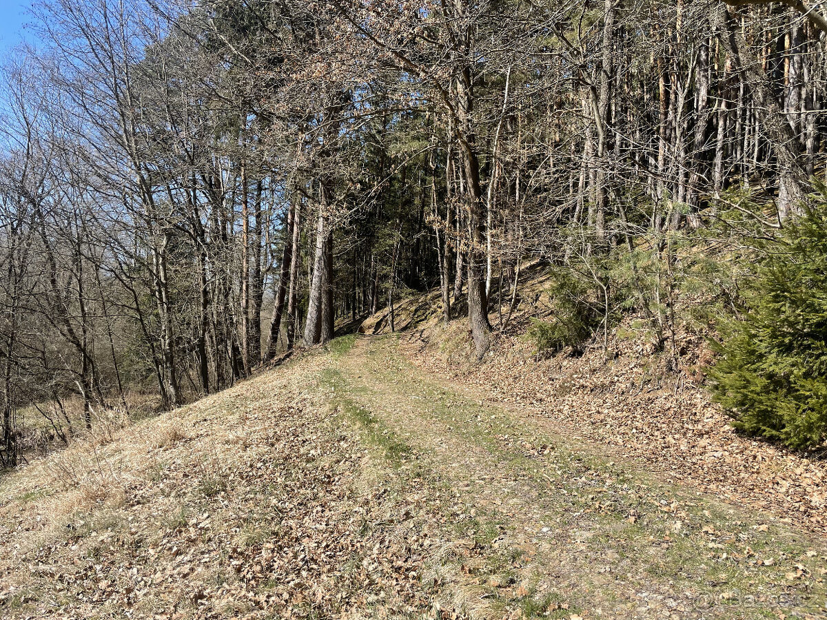 Prodej zahrady v Janovicích u Sušice 782 m2 - 13