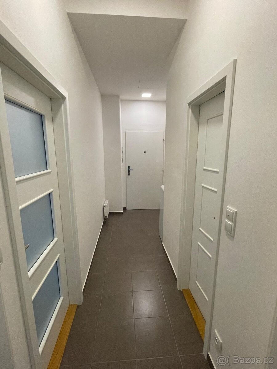 DLouhodobý pronájem bytu 2+kk (55 m2) - 13