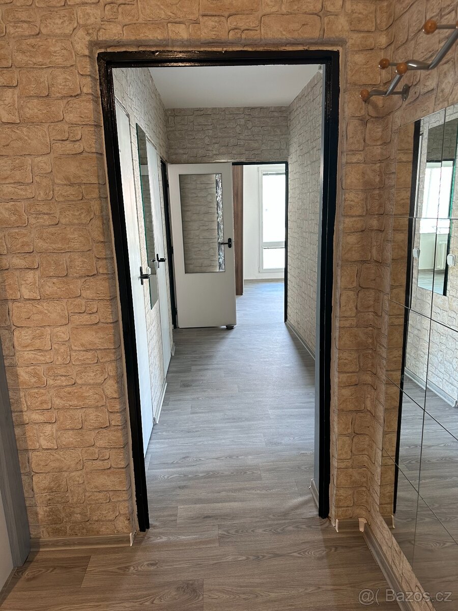 Pronajmu byt 3+1 Bohunice ul. Rolnická - 13