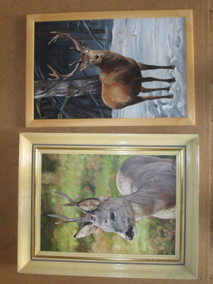 obrazy pro myslivce-bažant-tetřev-jelen-olejomalba - 13