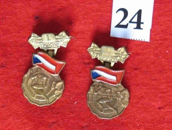 asi 90 ks odznaků - různé - ČSFR - cca 1970 - 1999 - 13