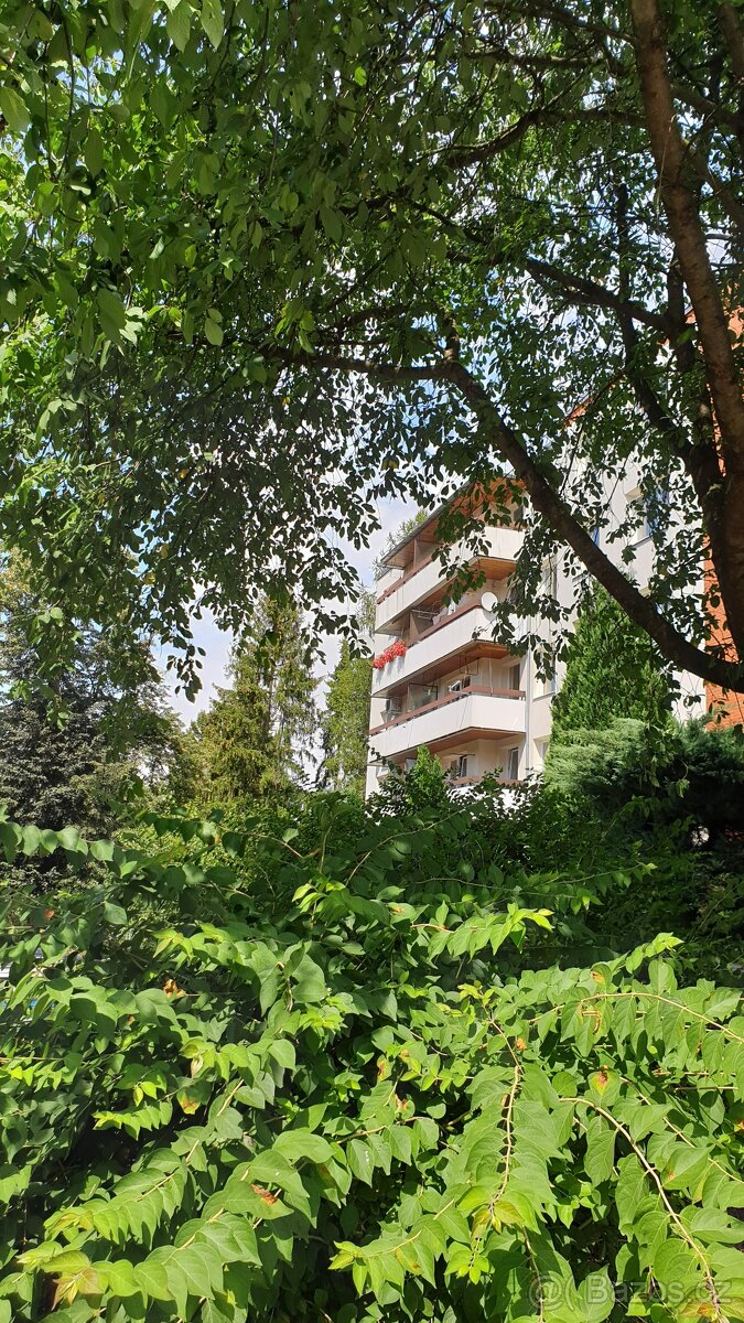 Byt 2+1, 69 m2, lodžie, výtah, sklepy, parkování. - 13