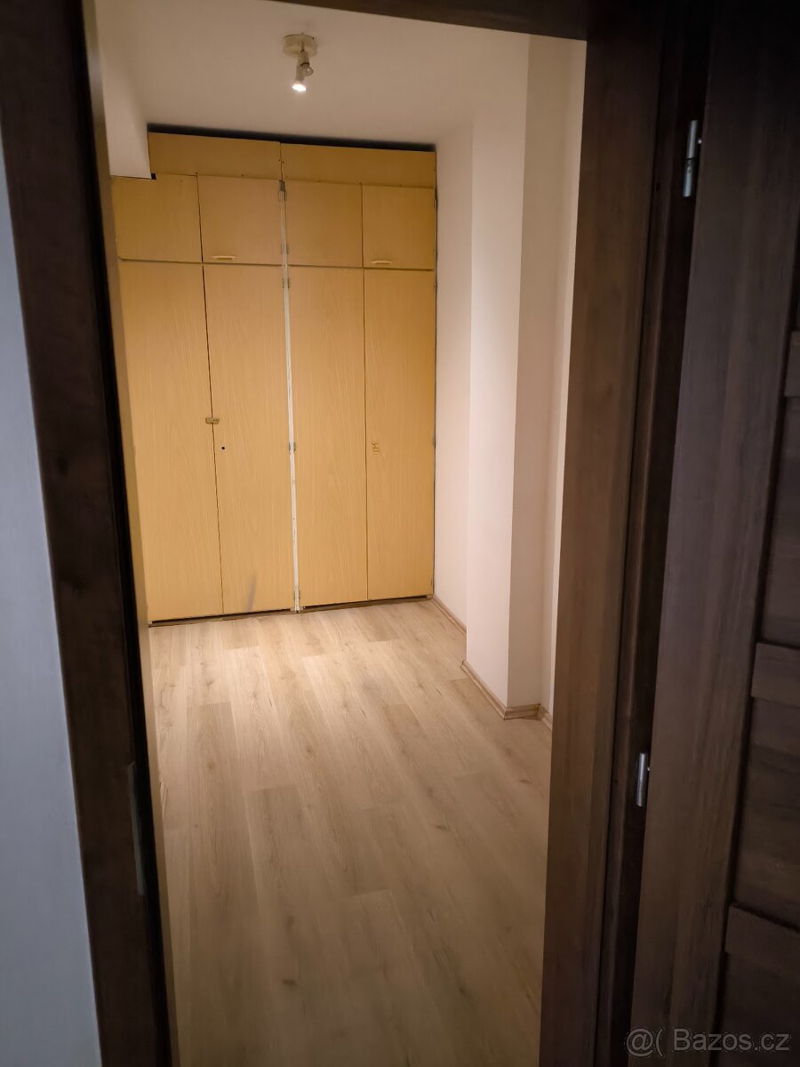 4+kk se šatnou 102,8m2 + zahrada - 13