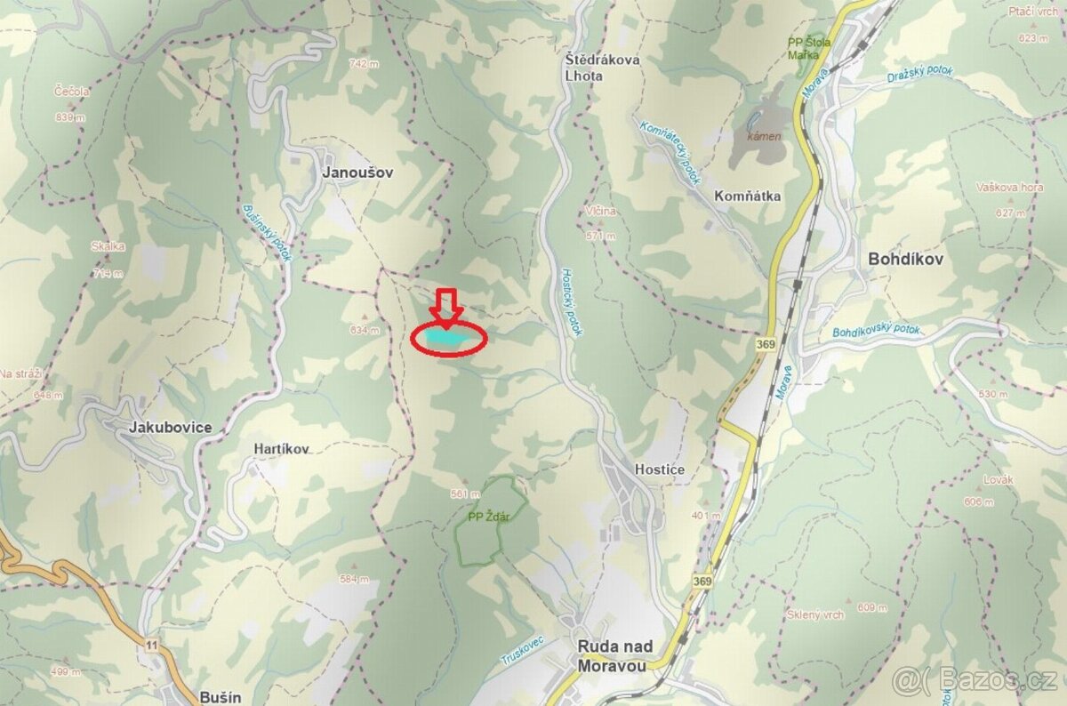 Prodej lesního pozemku v k.ú. Hostice - 13