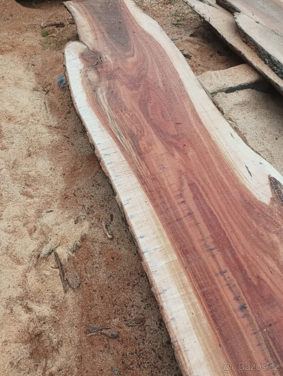 Fošny z červeného Jilmu - 13