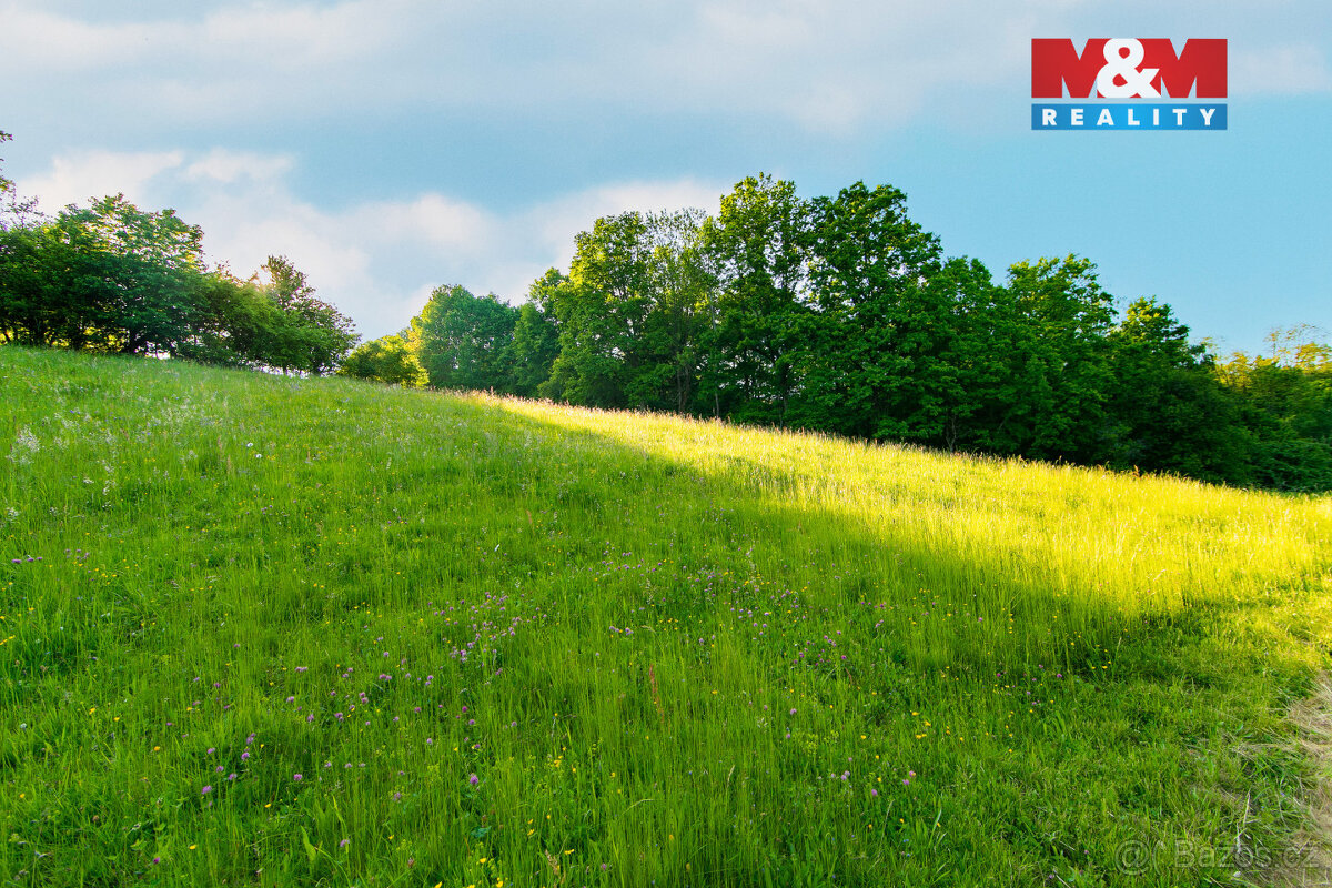 Prodej louky, 18692 m², Jílové u Prahy - 13