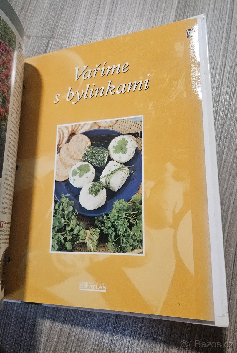 Encyklopedie Tajemství bylinek - 13