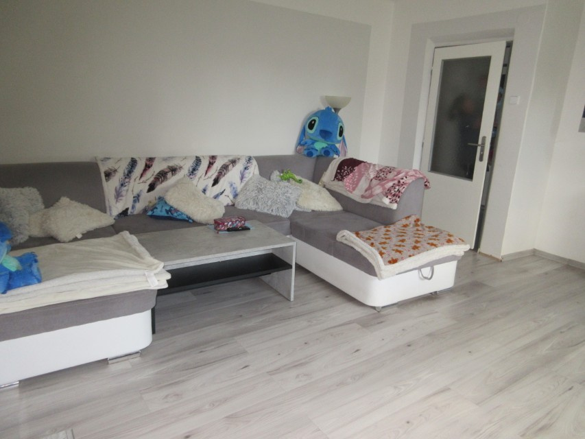 NA PRODEJ - RD SKÁLY U PROTIVÍNA (PÍSECKO) - 13