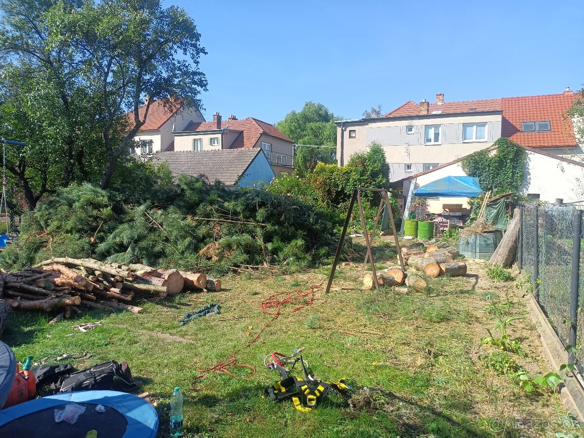 Rizikové kácení stromů - 13