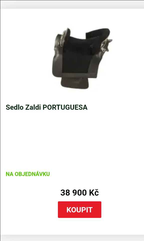 Sedlo zaldi portuguese + doplnky - 13