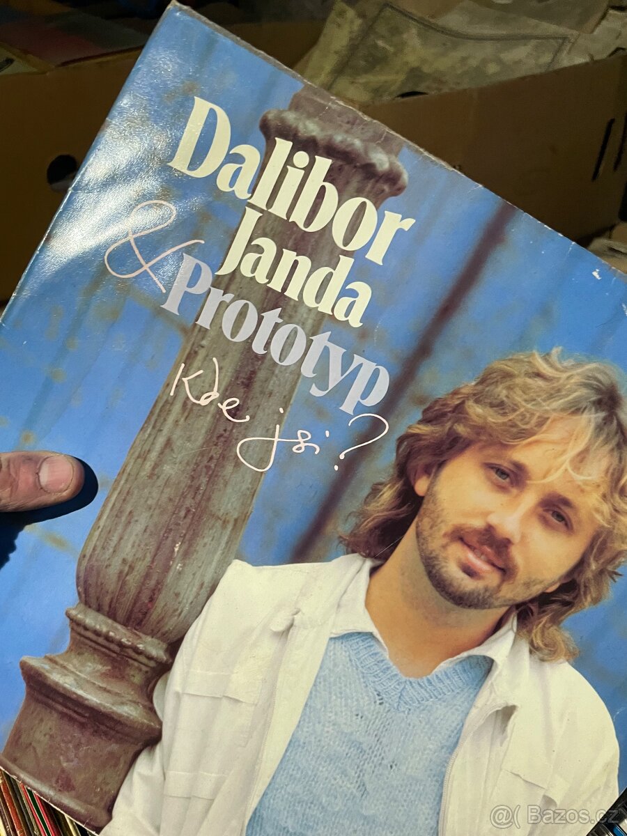 Velké množství LP desek - 13