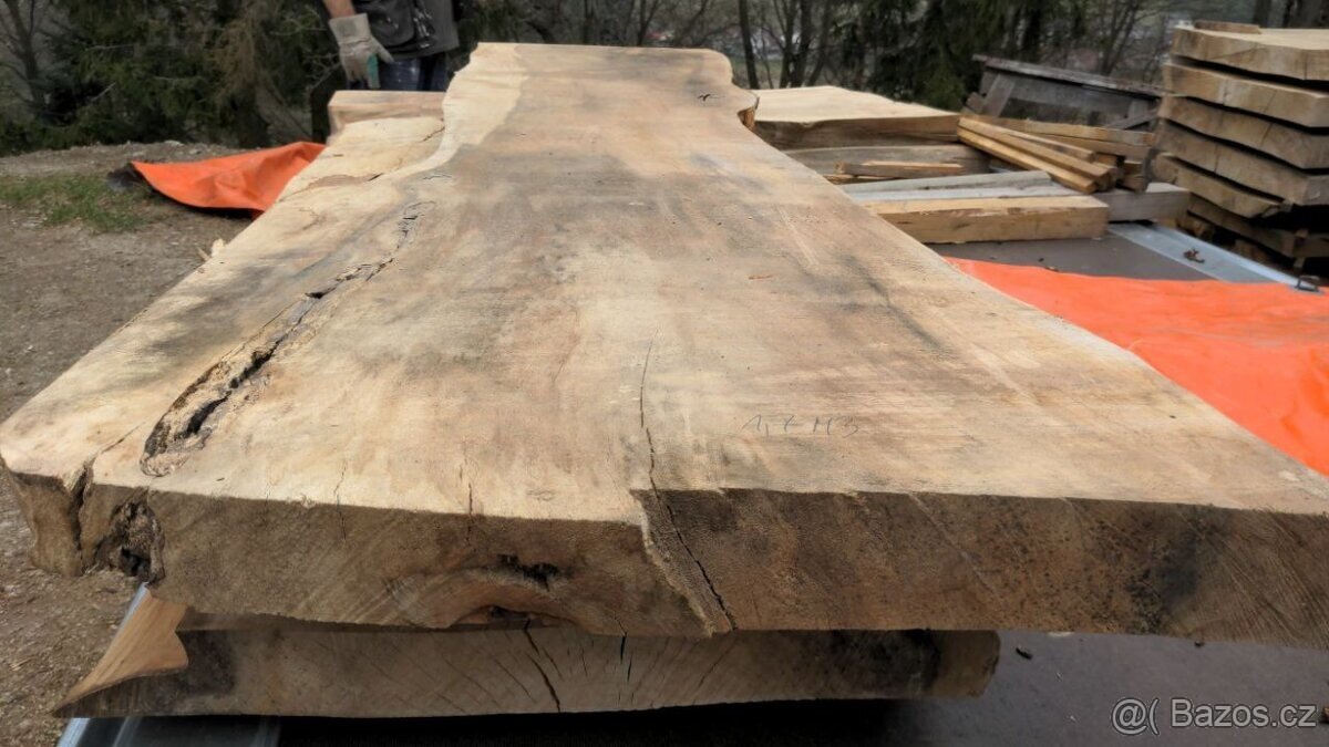 Jilmové suché fošny, sušeno 5,5 roku - 13