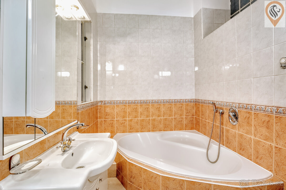 Pronájem velkorysého bytu 3+1 v centru Plzně – Havlíčkova ul - 13