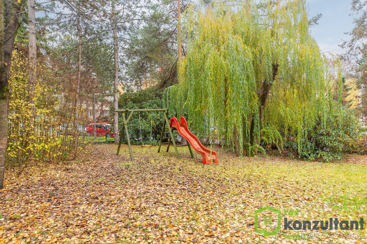 Pronájem bytu 1+kk 31 m², Brno - Žabovřesky, ev.č. 00949 - 13