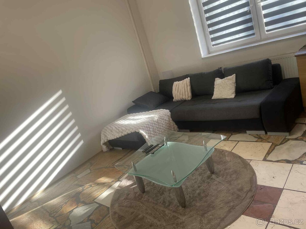 Pronájem 1 kk - 13