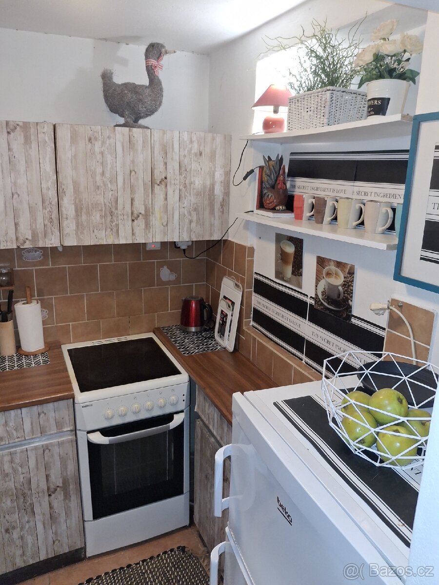 PRONAJMU KRÁSNÝ A SLUNNÝ ZAŘÍZENÝ BYT S VENKOVNÍM POSEZENÍM - 13