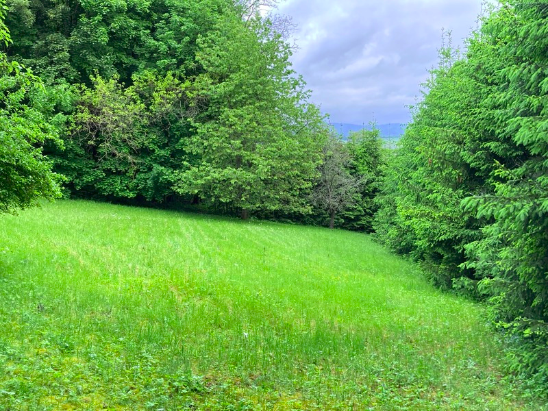 Prodej pozemku 650 m2 k výstavbě chaty v Sušici - 13