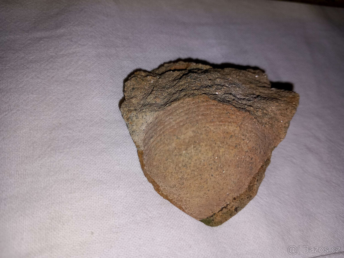 S92 Sbírka 38 ks minerálů, hornin a zkamenělin - 13