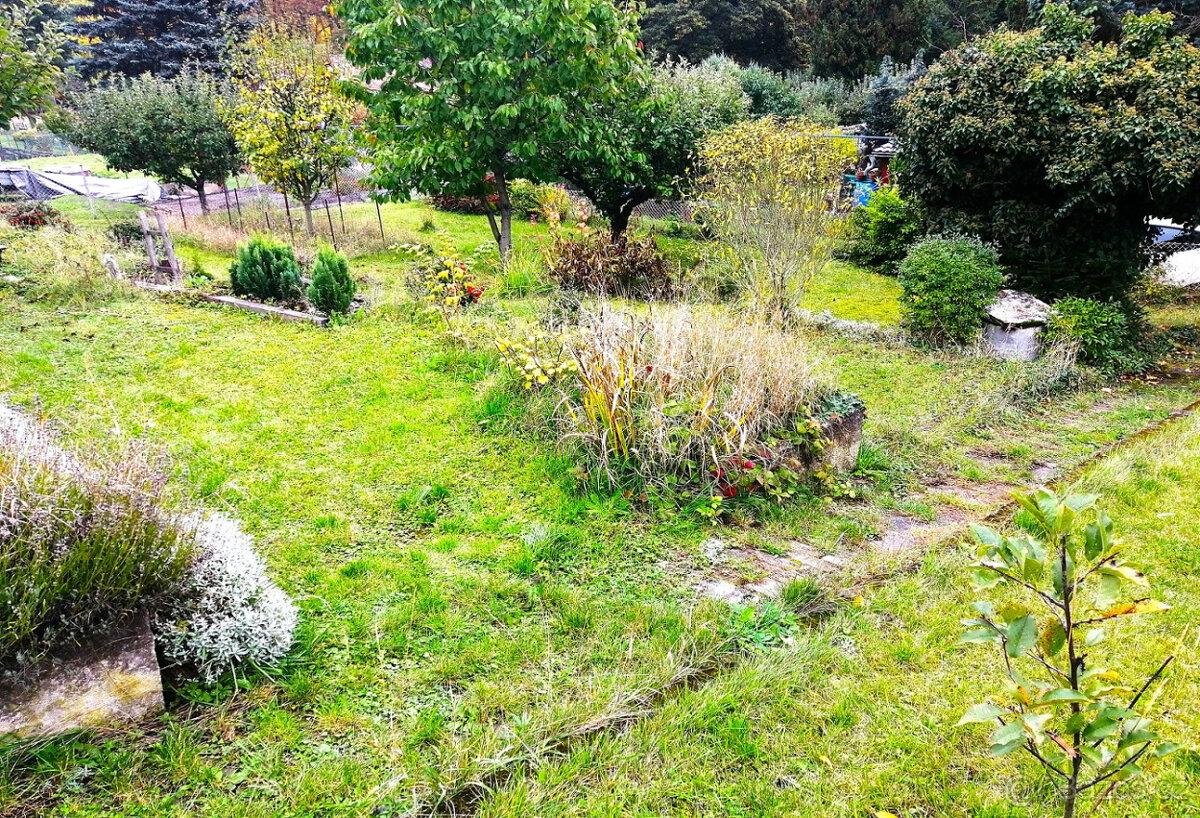 Prodej zahrady s chatou - 13