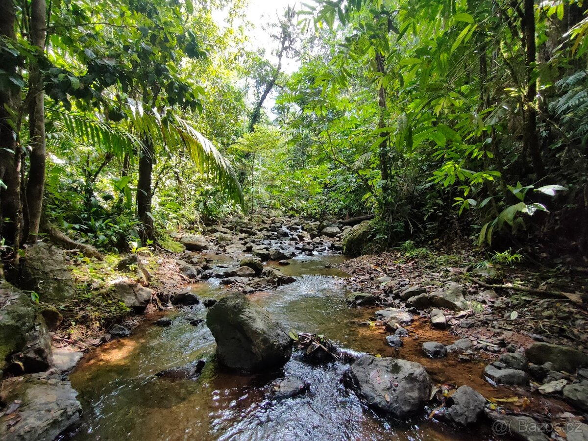 Pozemky a domy Kostarika - 13