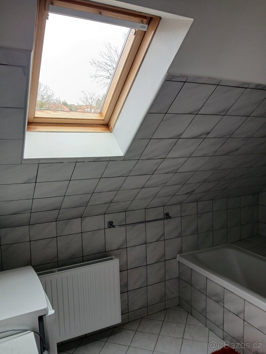 Pronájem bytu 3+1 - 13