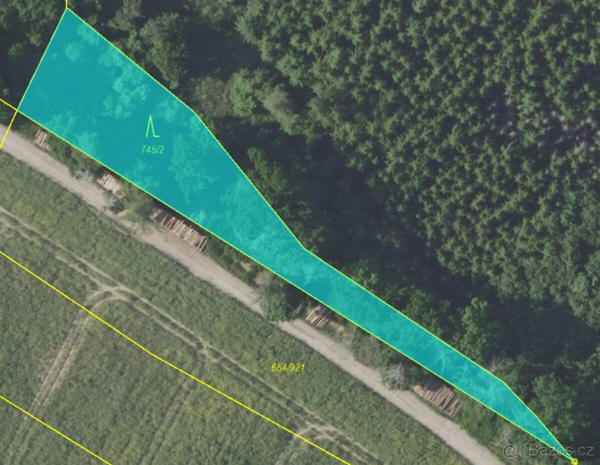 Prodám lesní pozemky v k.ú. Vlašim - 13