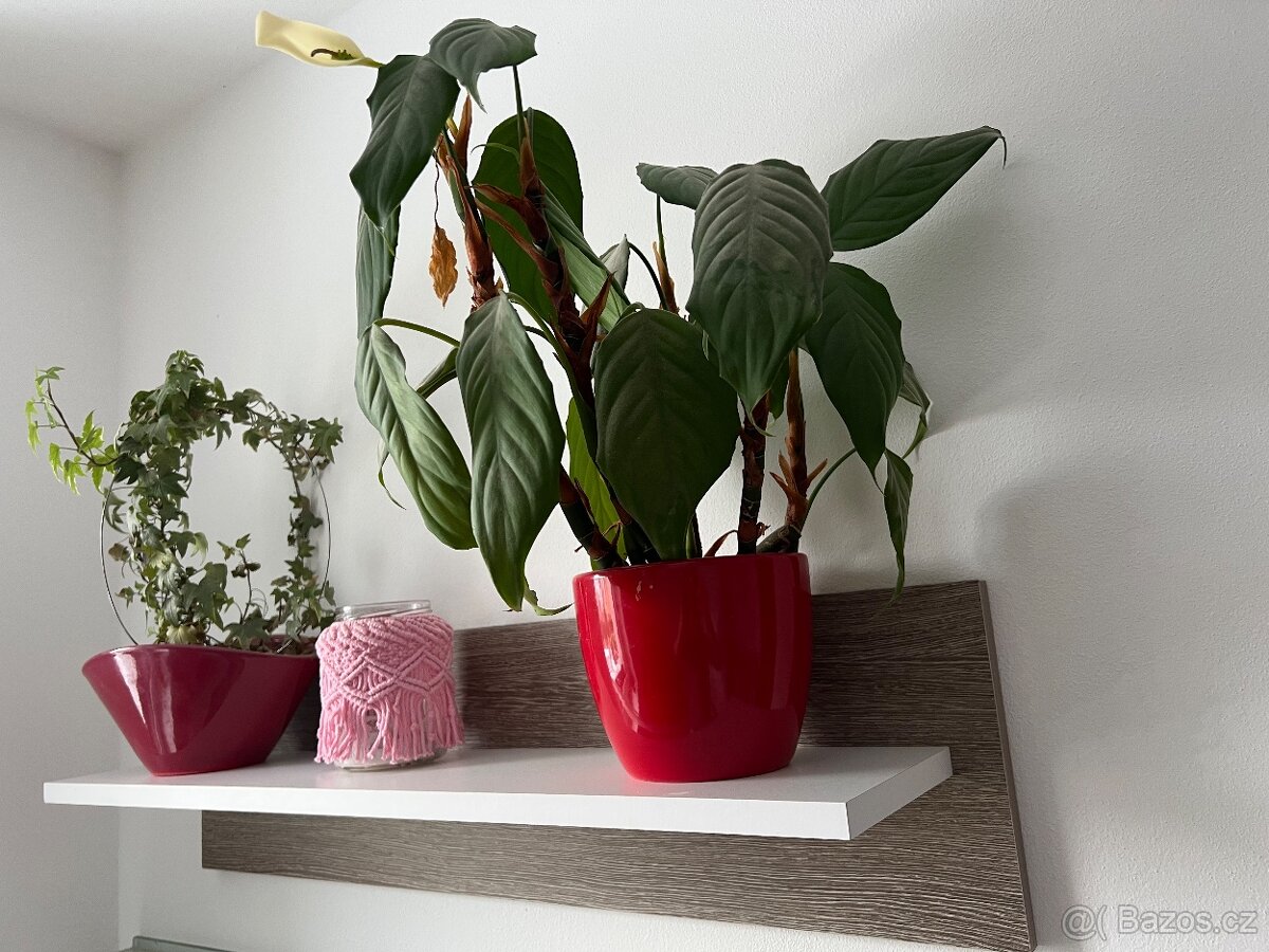 Geuther nábytek pro miminko a dětského pokoje, sada 4 dilů - 13