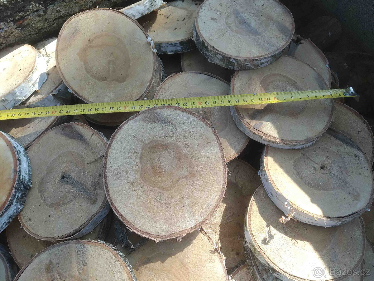 Placky bříza,kolečka a šikmé placky z břízy i jiného dřeva - 13