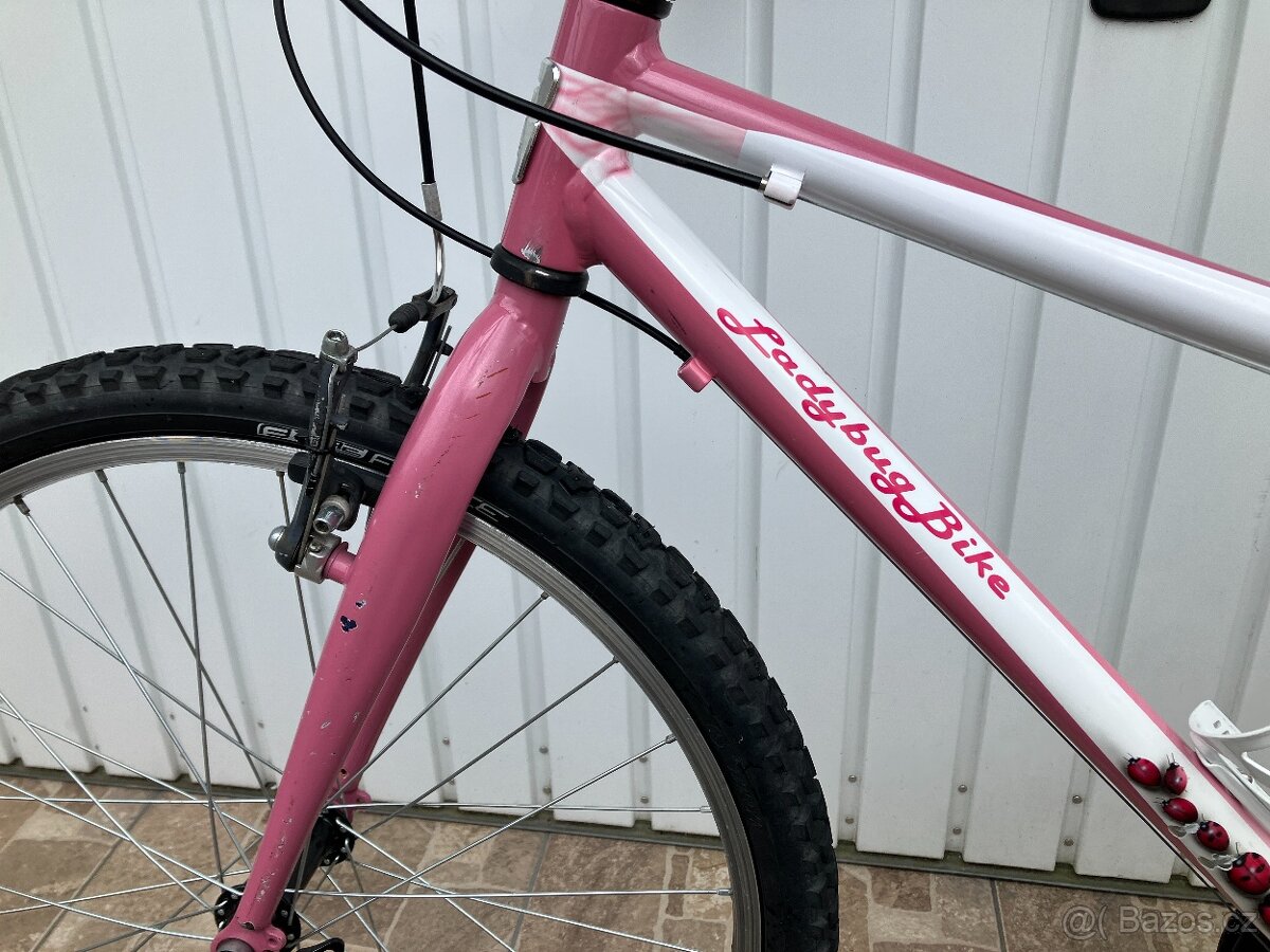 DÍVČÍ KOLO 24 - 13