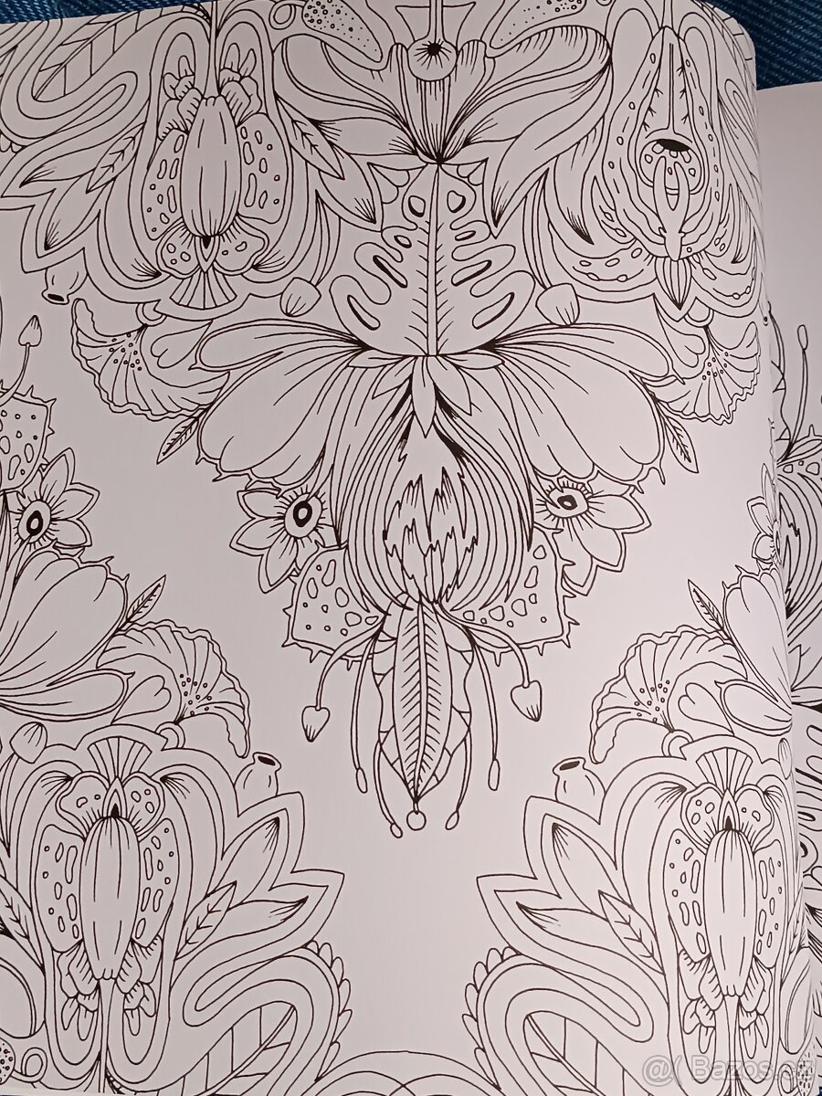 Omalovánky pro dospělé Exotický prales - 13