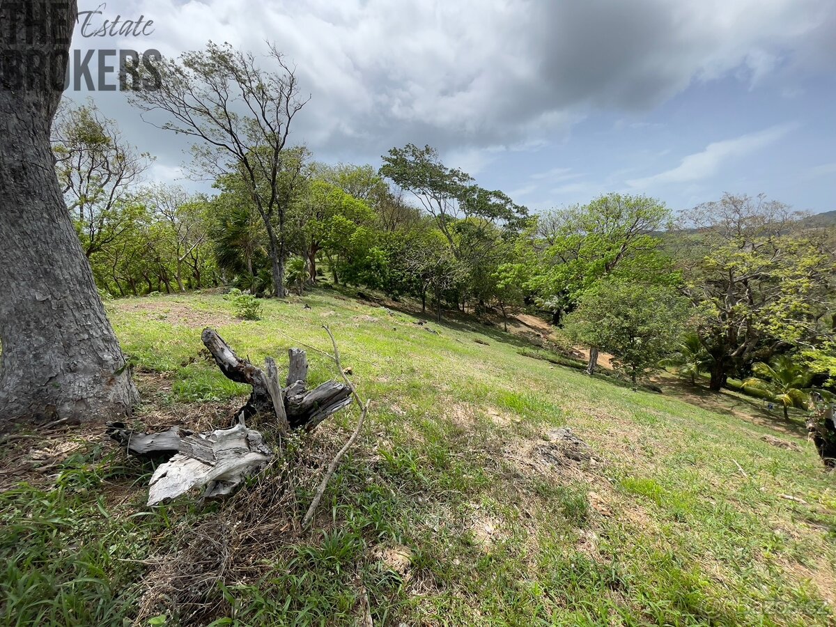 LOT 6 Bodden Bight Estate, Roatan - 13