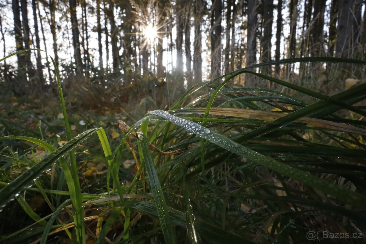 Canon RF 16 mm F2.8 STM - 13