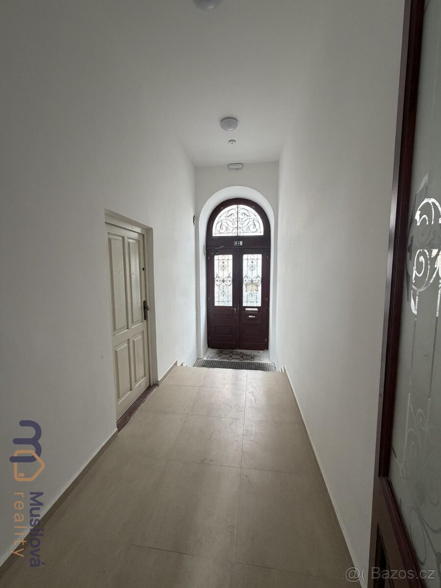 Pronájem bytu 1kk 30 m2 - 13