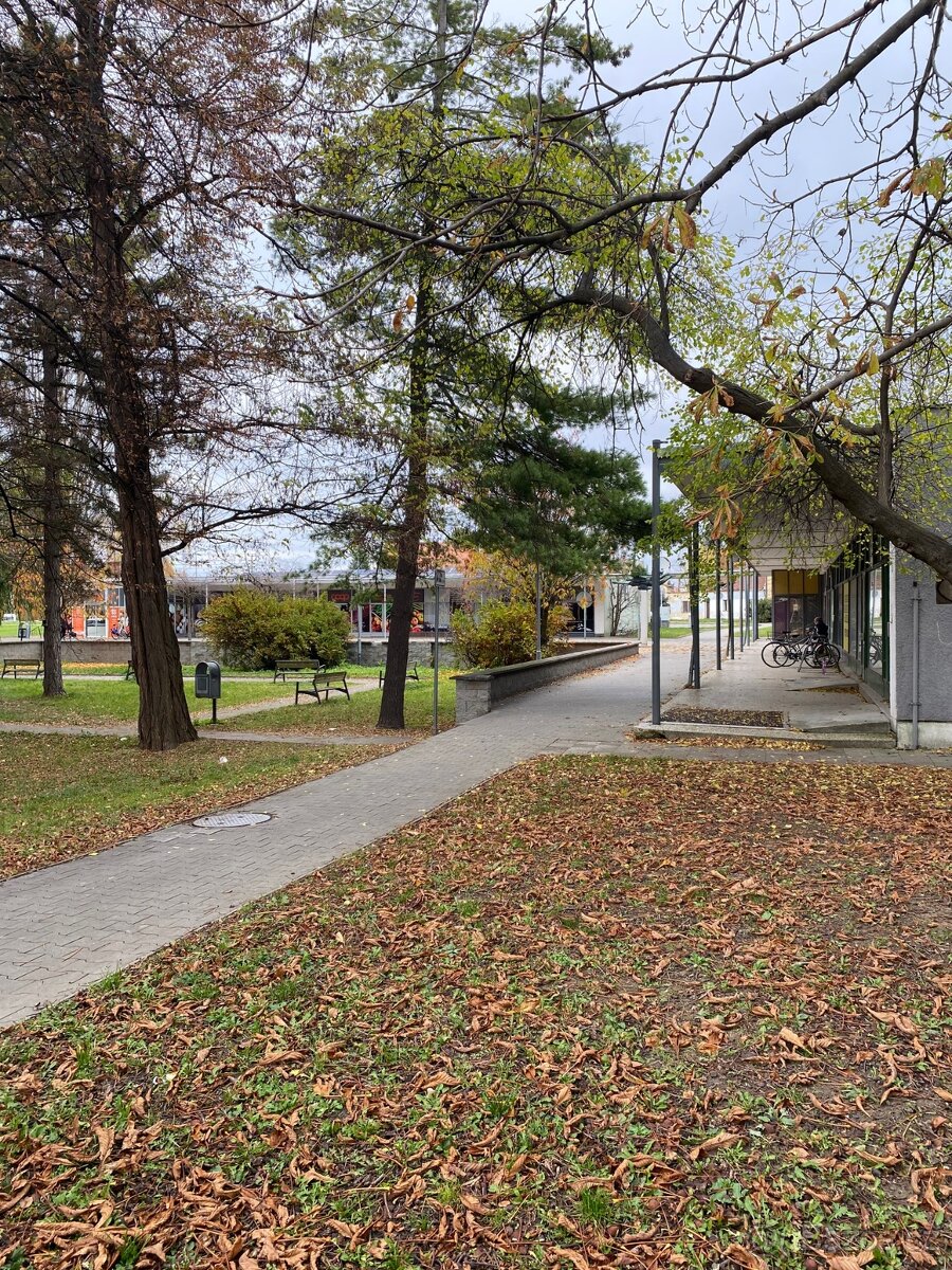 Pronájem bytu 2+1 57 m² Na Rybníku, Uherské Hradiště - 13