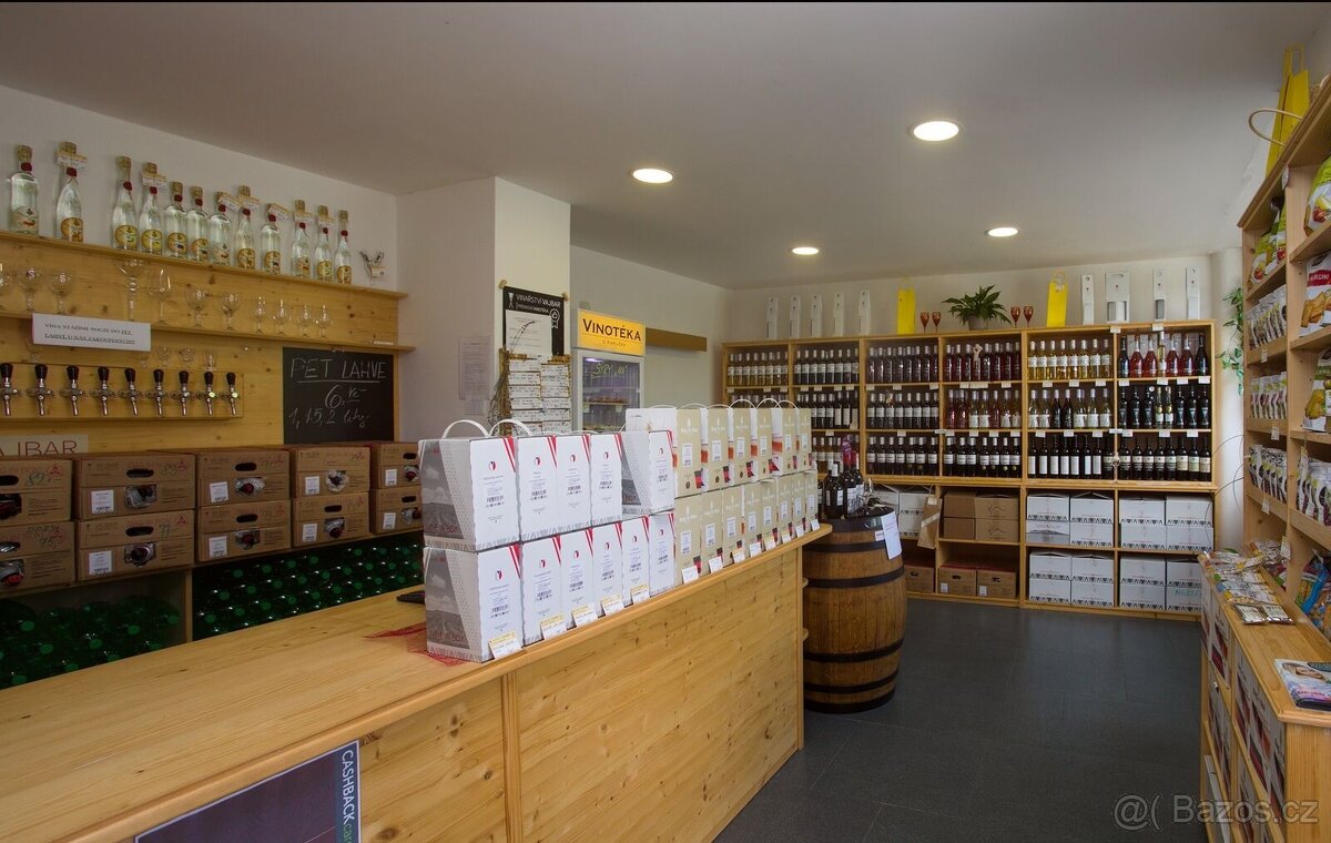 Rodinný dům s obchodními prostory, podnikání, širší centrum - 13