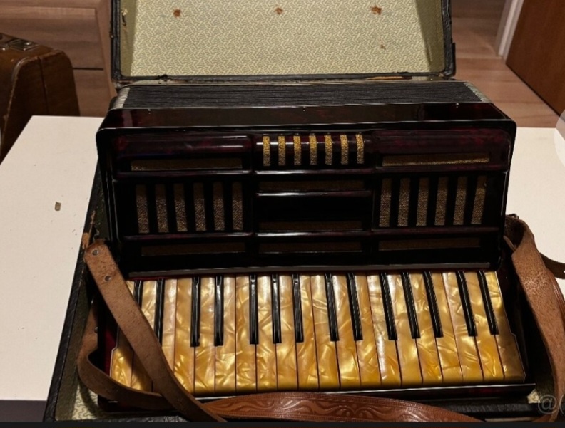 Harmonika akordeon - 13