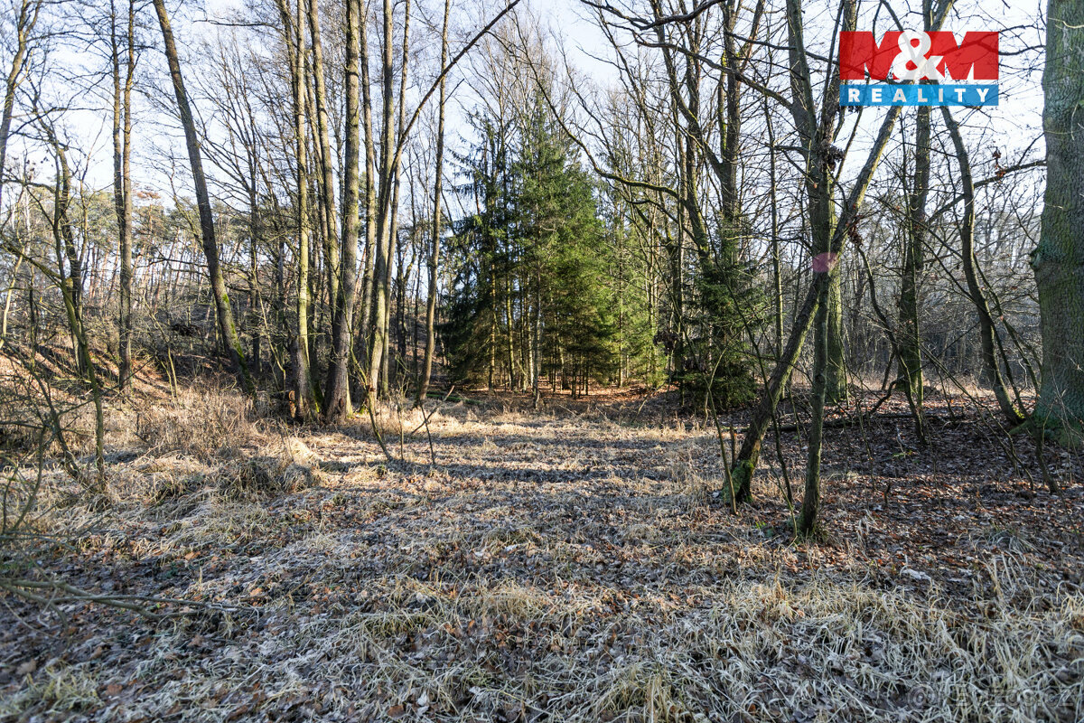 Prodej lesa, 685 m², Horšovský Týn - 13