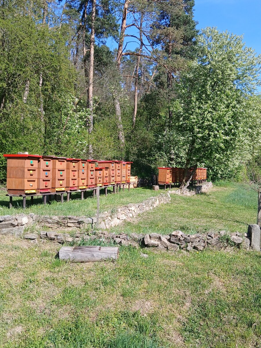 Včelí med - 13