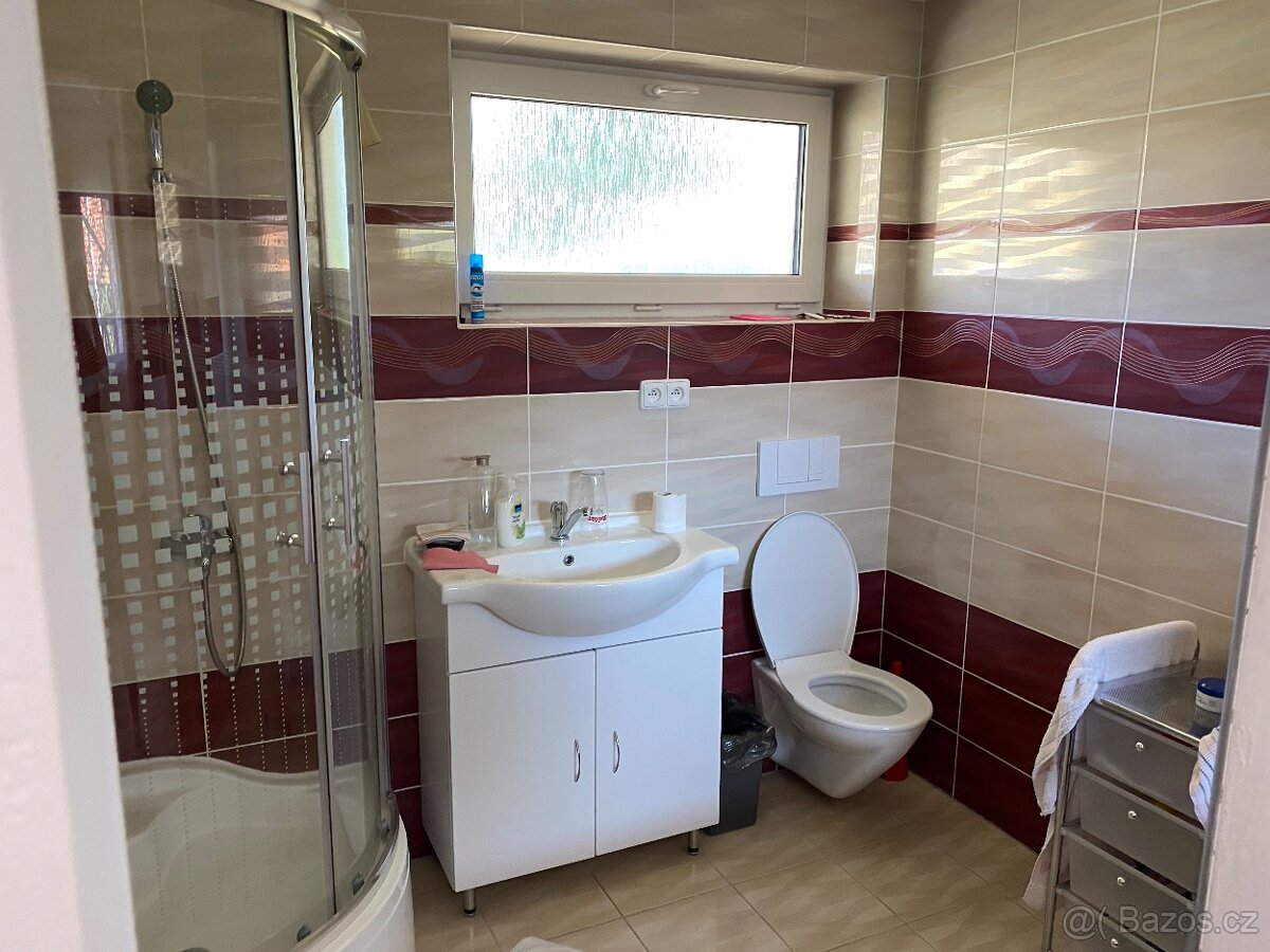 Rodinný dům na prodej –okr.Strakonice - 13