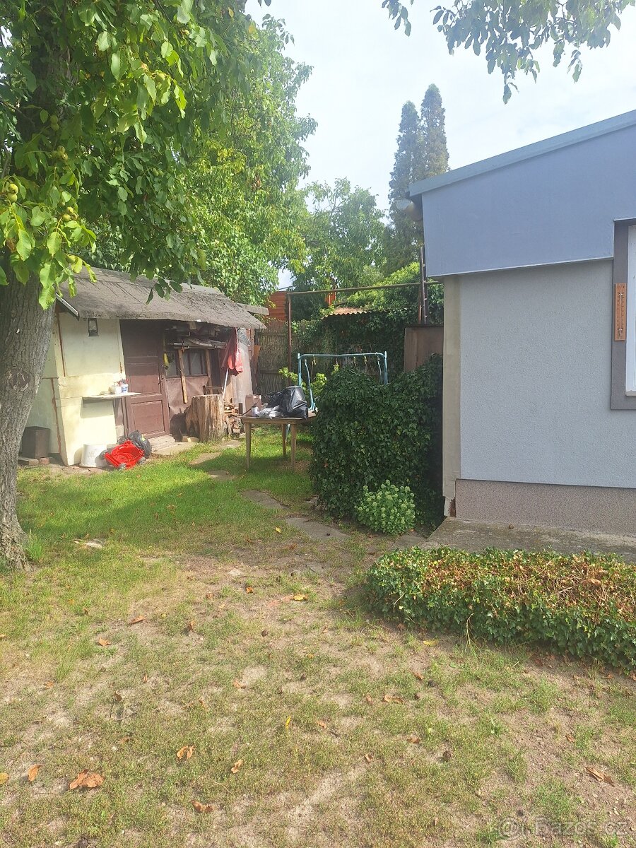 Prodej zahrady s chatou 36 m² - 13