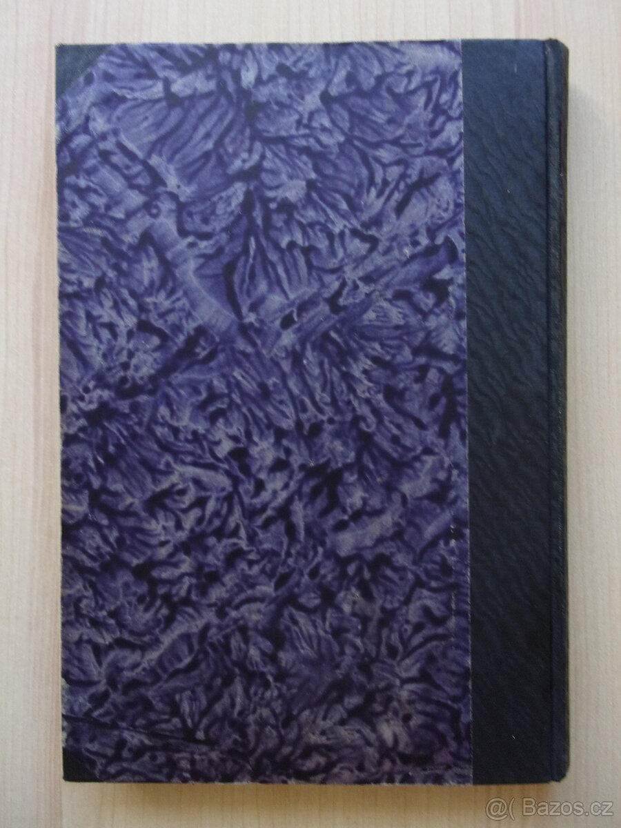 ZEMĚPISNÁ ČÍTANKA - OD ŠUMAVY ZA TATRY r. 1927 - 13