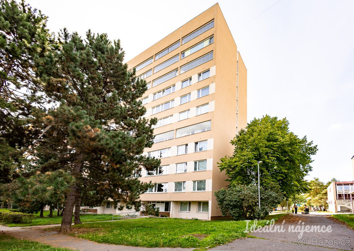 Pronájem bytu 1+kk - 13
