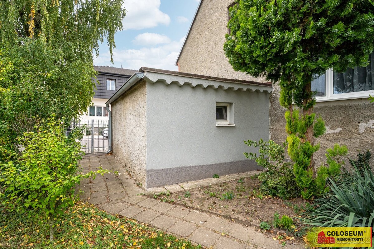 Hrušovany nad Jevišovkou, RD 3+kk, garáž, sklep, zahrada - r - 13