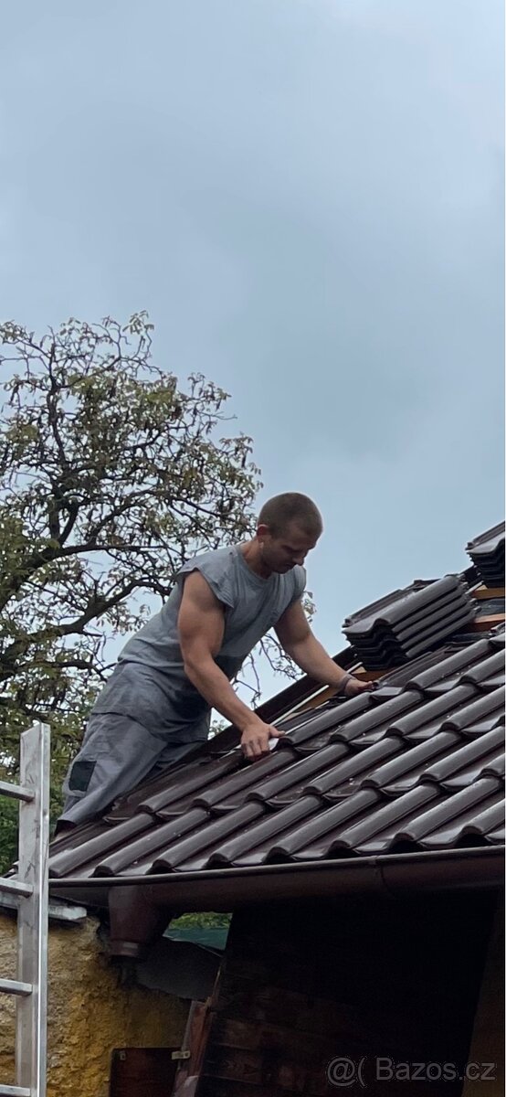 Spolehlivý hodinový manžel - Louny a okolí - 13