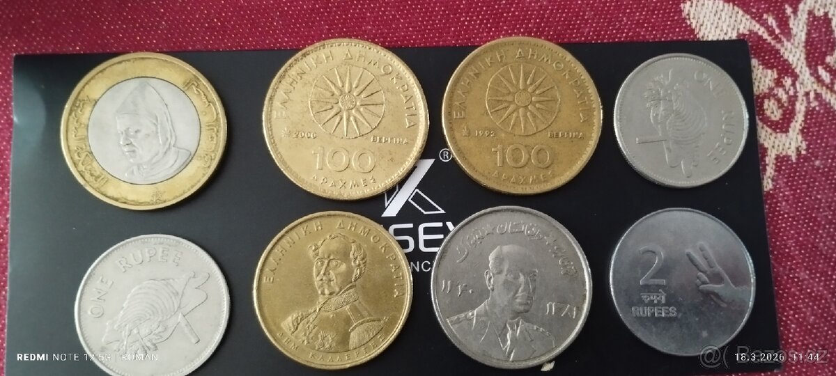 Mince různorodé - 13