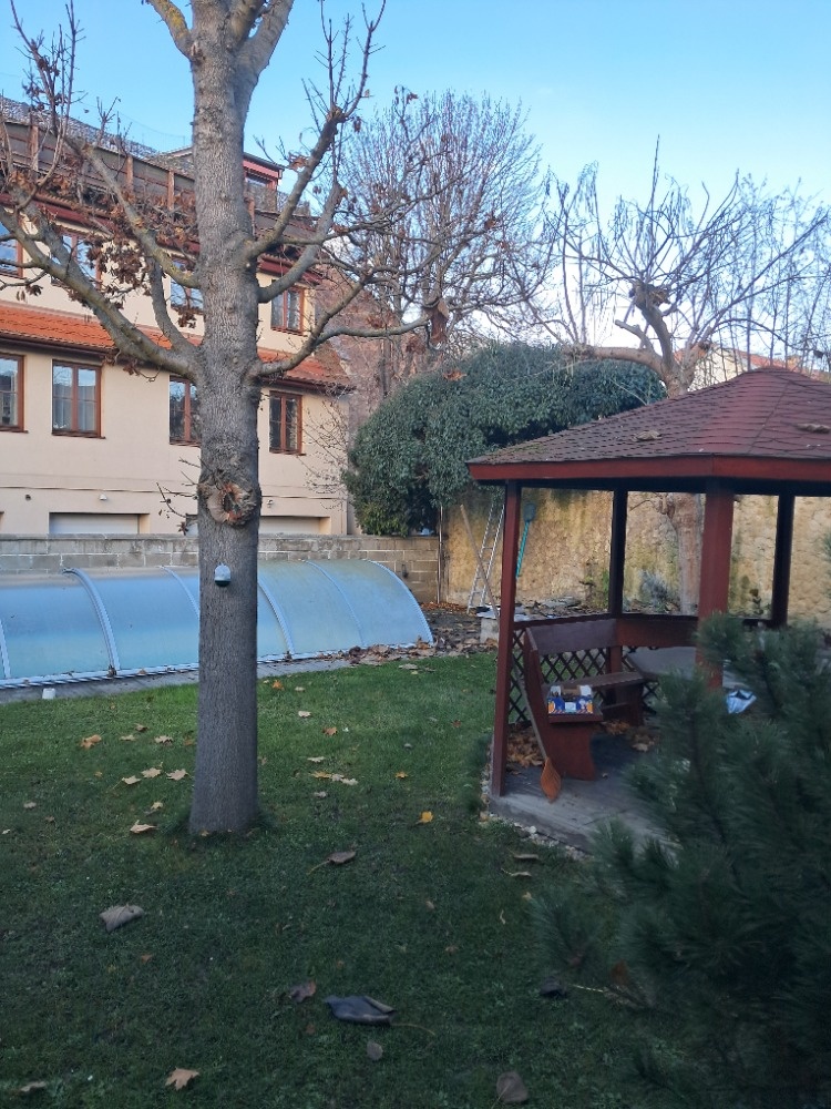 Nabízím k pronájmu - 13